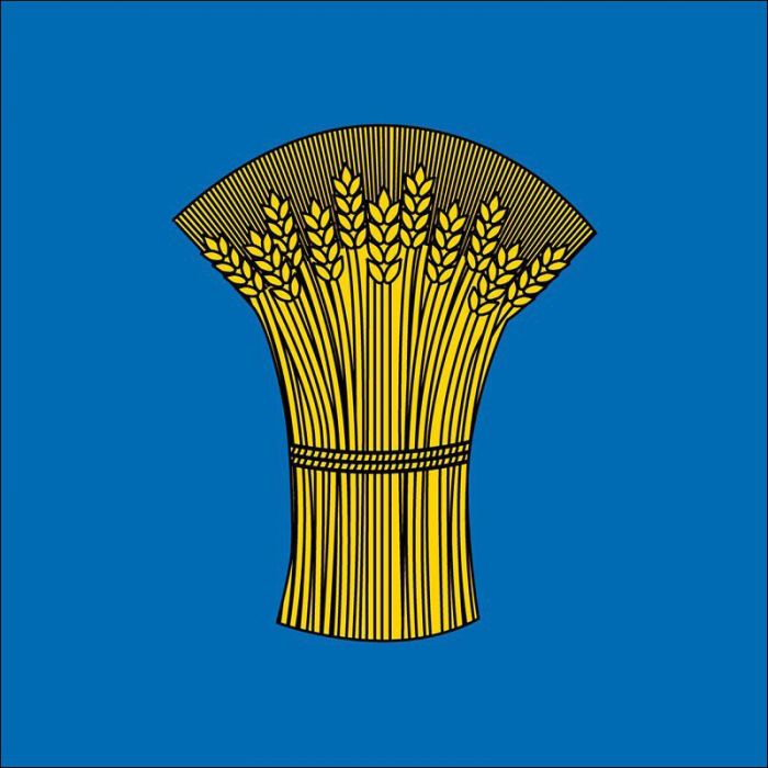 Gy
